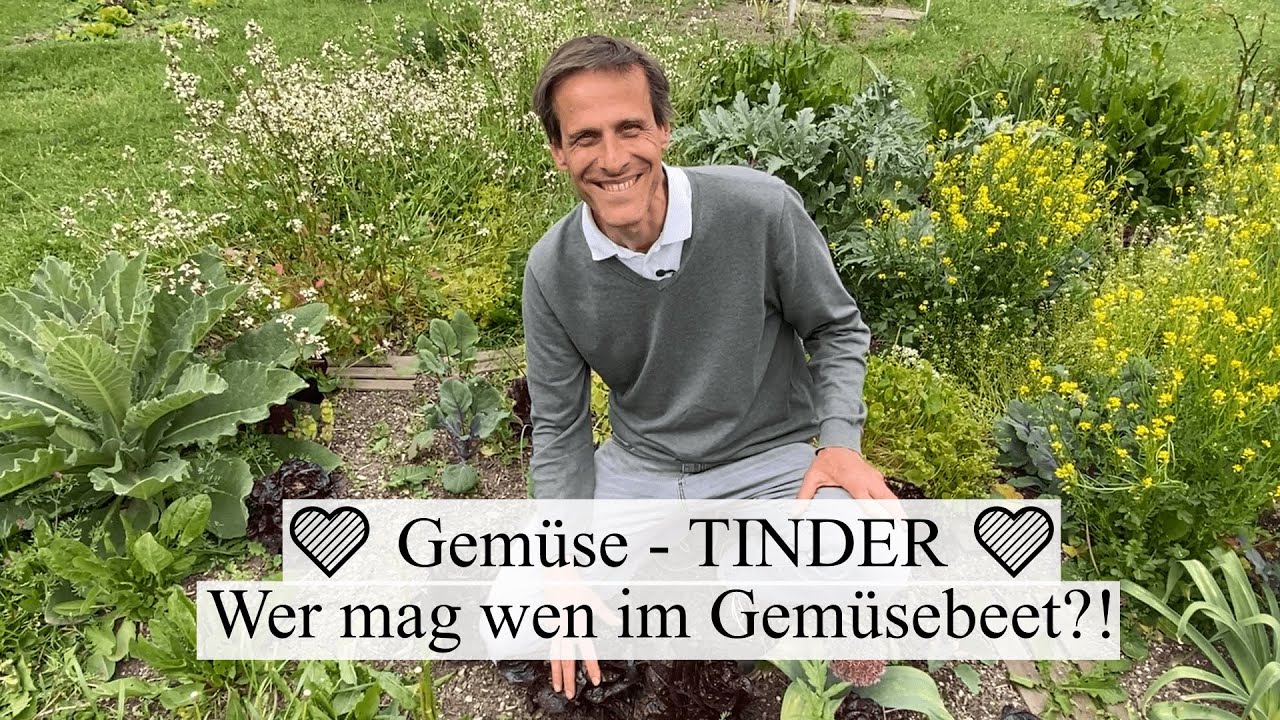 Tipps für ertragreiche Mischkulturen, Fruchtfolgen & die richtigen Beetnachbarn 🍉🥦🍅