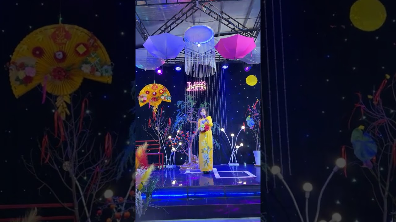 Đêm Buồn Tĩnh Lẻ - TB Hoàng Dung 