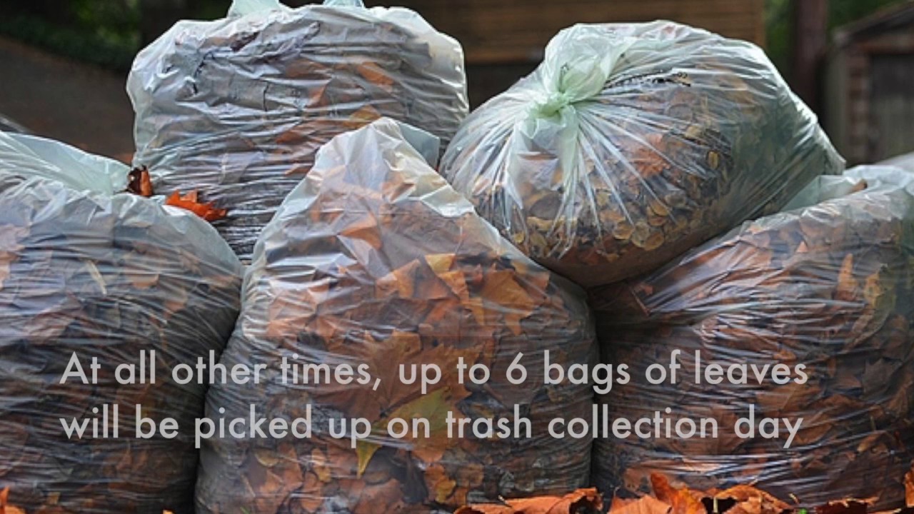 City of Richmond Vacuum Leaf Collection