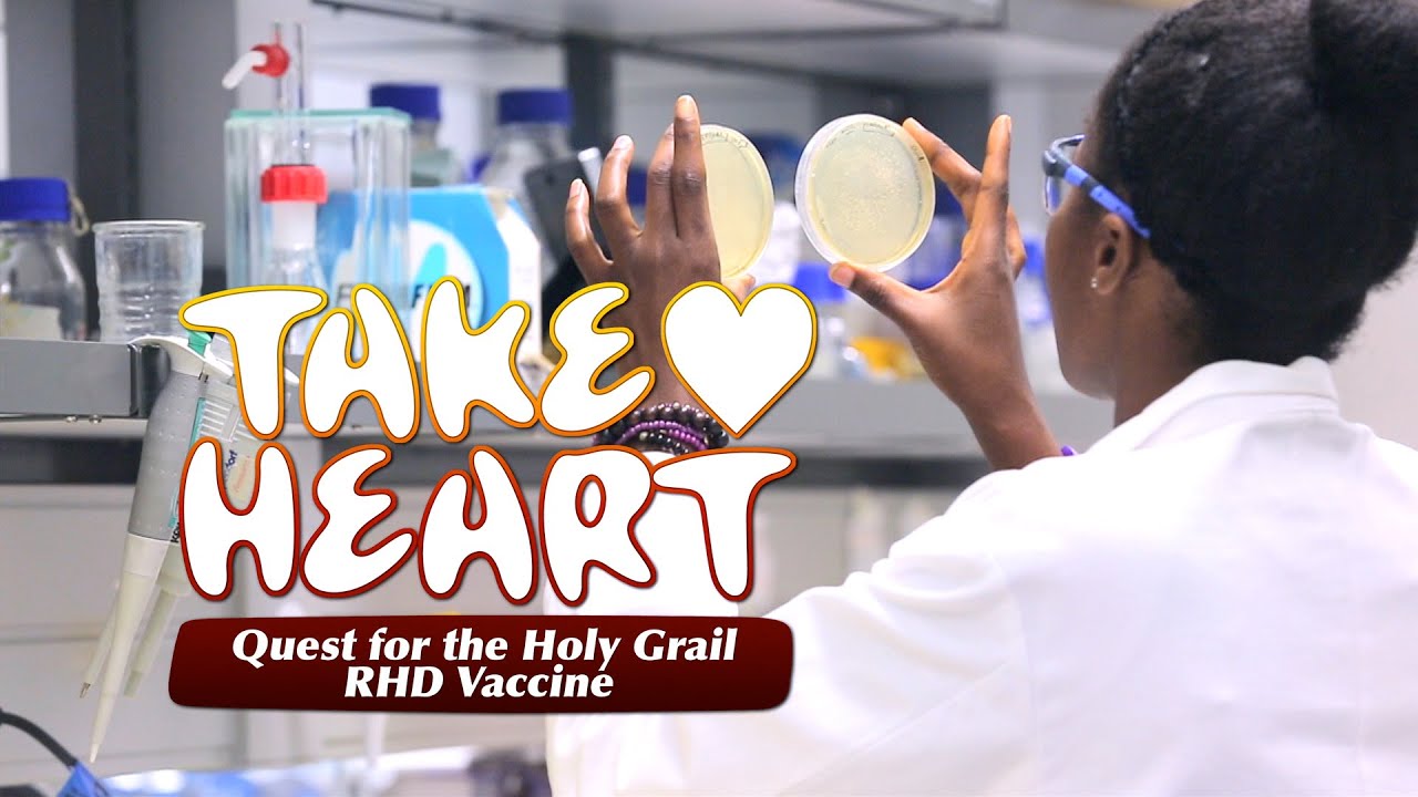 Take Heart - Quest for the Holy Grail RHD Vaccine