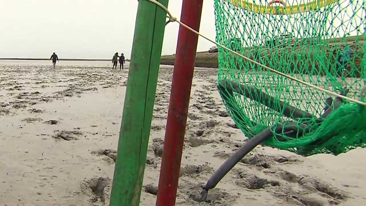 Ticket nach Berlin: Folge 9 - Niedergründau und Wilhelmshaven