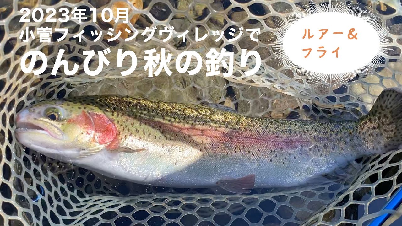 2023年10月　小菅フィッシングヴィレッジ　のんびり秋の釣り