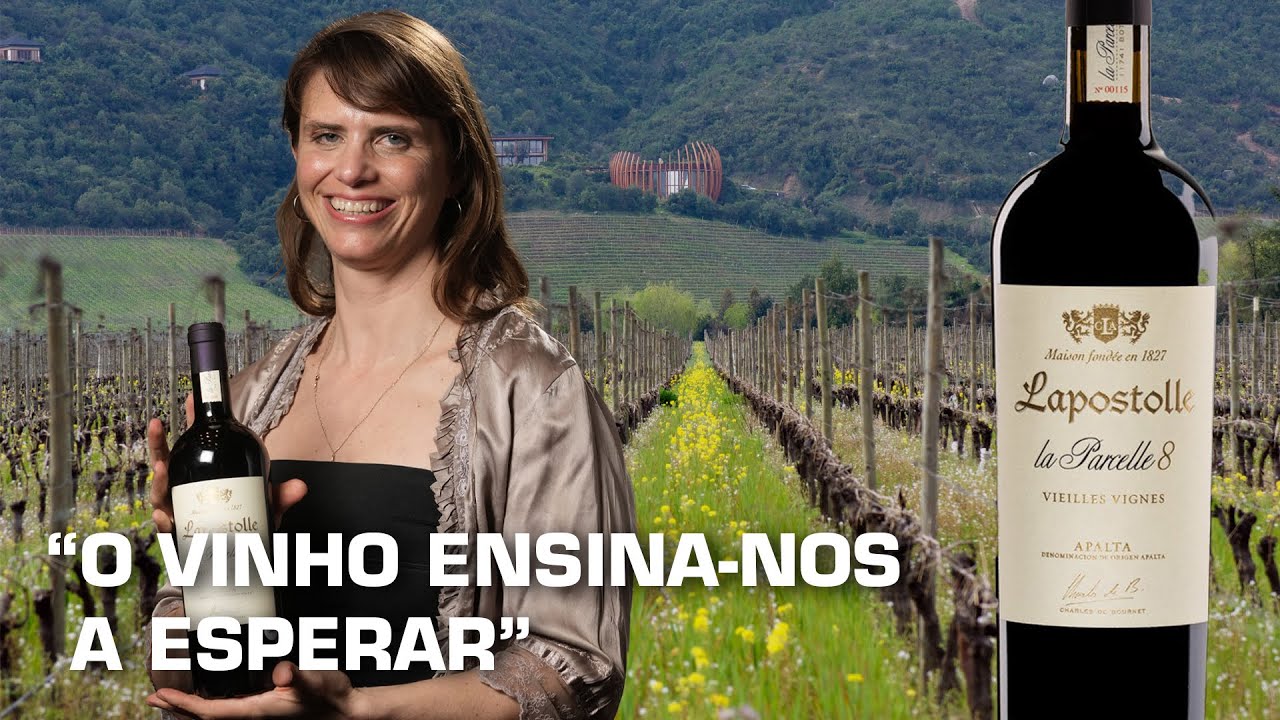 Andrea León Revela os Segredos de Lapostolle e do Terroir de Apalta