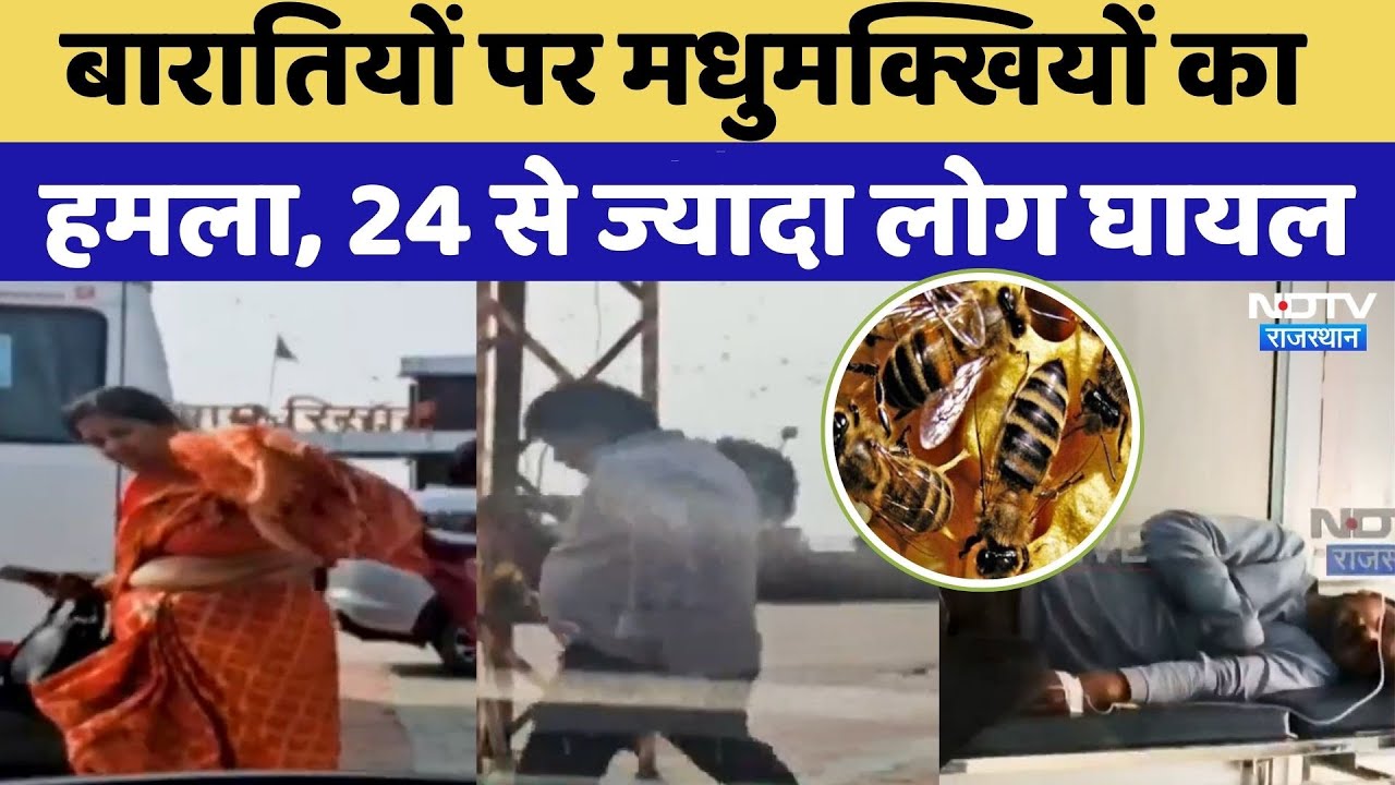 Bees Attack: Tonk में बारातियों पर मधुमक्खियों का हमला | Rajasthan Top News | Viral Video