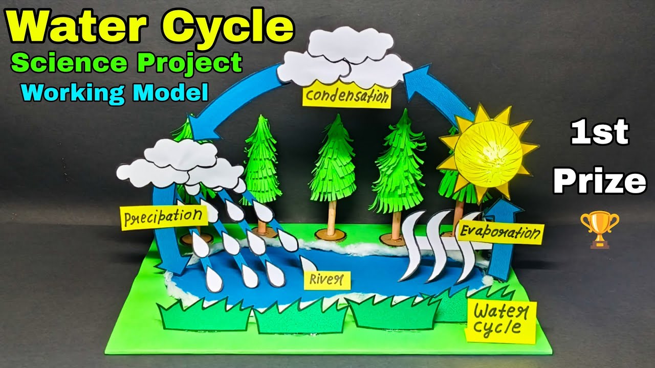 Water Cycle science project | Water Cycle school project | Water cycle project working model