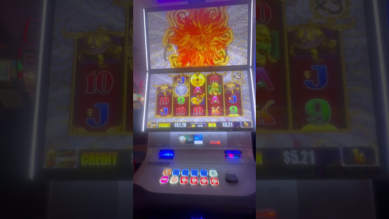5 Dragons Bonus Video🐉🐦&zwj;🔥🦚 #slotmachinebonus #5dragonsbouns