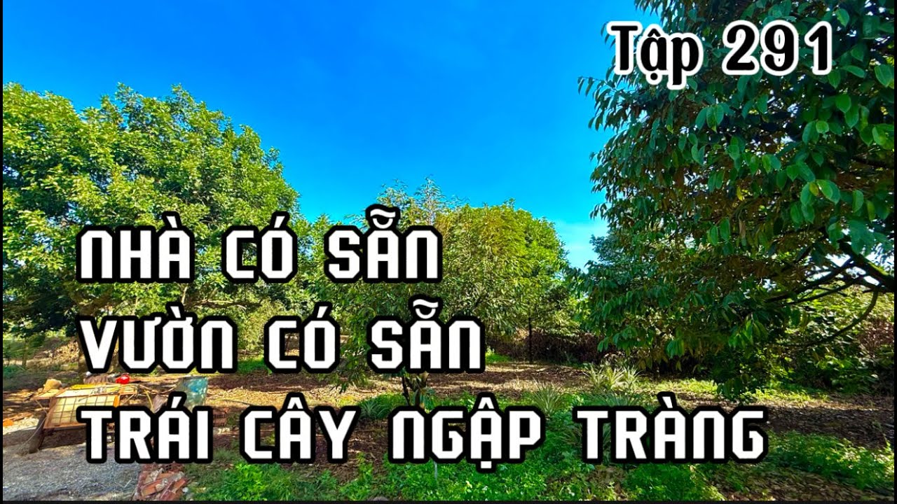 bán nhà vườn trái cây đầy ắp cách sg 50km .đất vườn vùng ven bà rịa vũng tàu