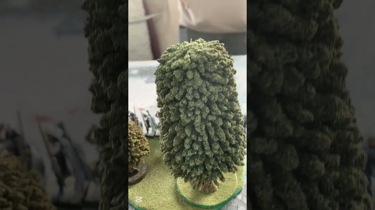 Imperio vs Elfos Silvanos #warhammer #warhammerfantasy #warhammertheoldworld