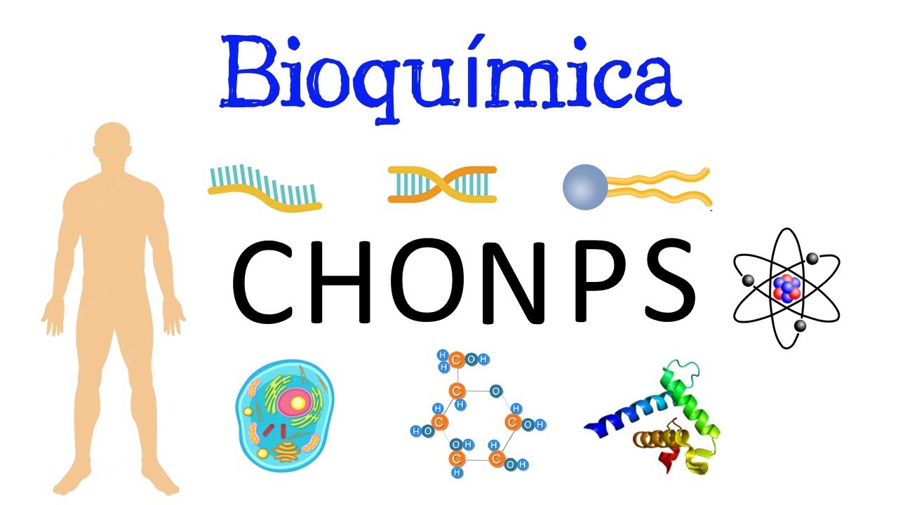 🧬 &iquest;Qu&eacute; es la Bioqu&iacute;mica? ⚗️ Y su IMPORTANCIA 🧫 [F&aacute;cil y R&aacute;pido] | BIOLOG&Iacute;A | QU&Iacute;MICA |