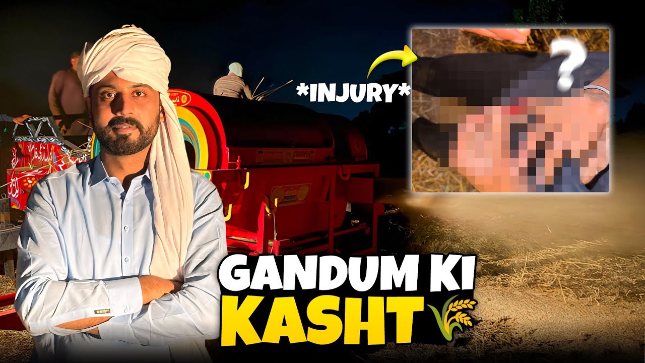 Gandum ki katai shuru kr di🌾 | Average rate 💔🥲| Complete process Day 1 | Bilal Marth