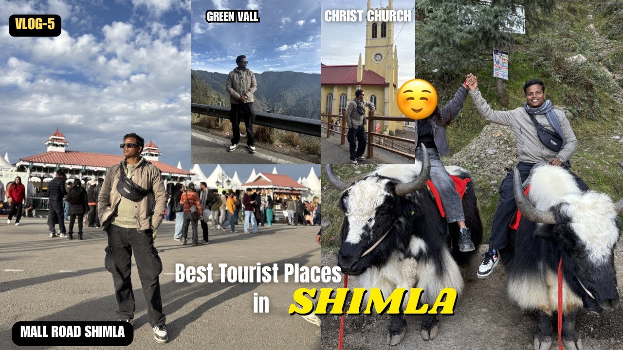 Best Tourist Places In Shimla// Mall Road Shimla// Best Honeymoon Destination Shimla and Manali 
