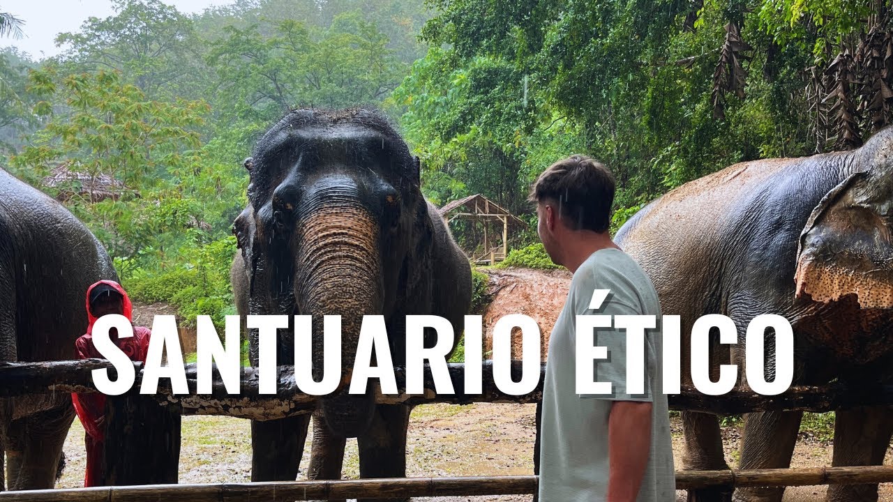 Así es un SANTUARIO de ELEFANTES 🐘 | Phuket ,Tailandia