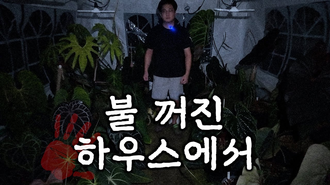 2025 가든킹 납량 특집🥶ㅣ한 밤 중에 둘러보는 불 꺼진 하우스는 어떤 느낌일까🦉