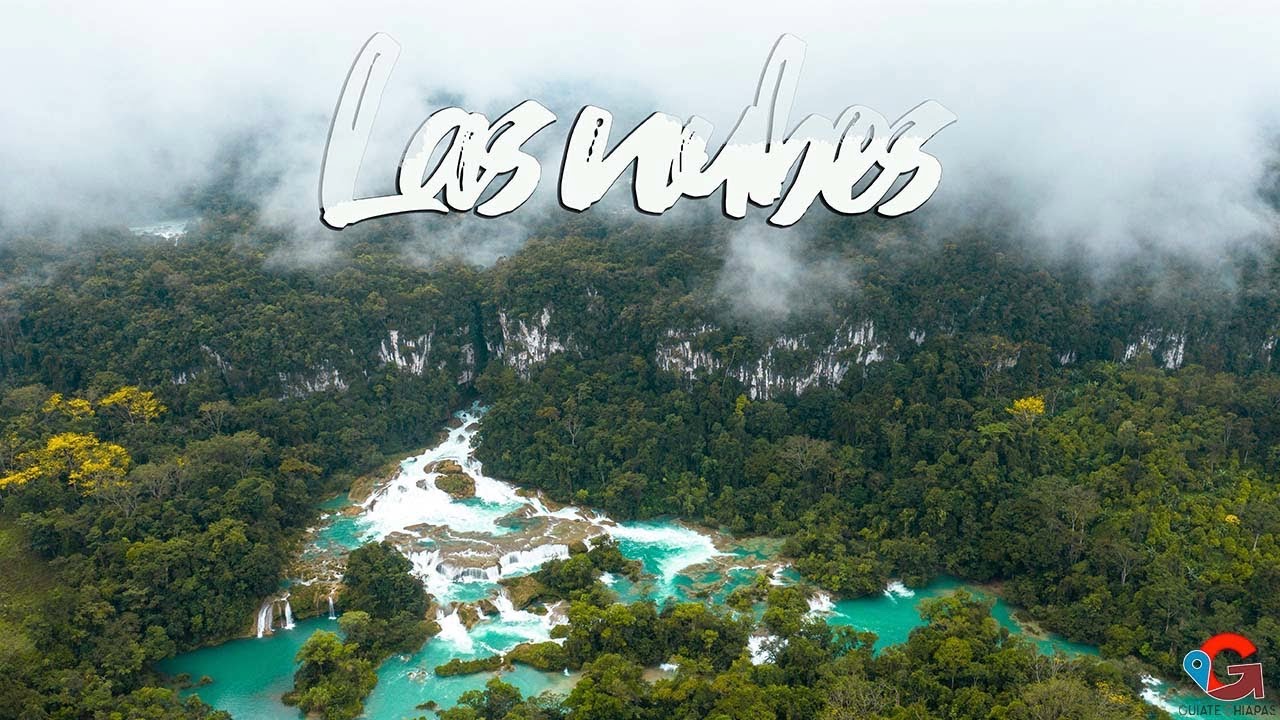☁️ Centro Ecoturístico Las Nubes, Chiapas. 🌳