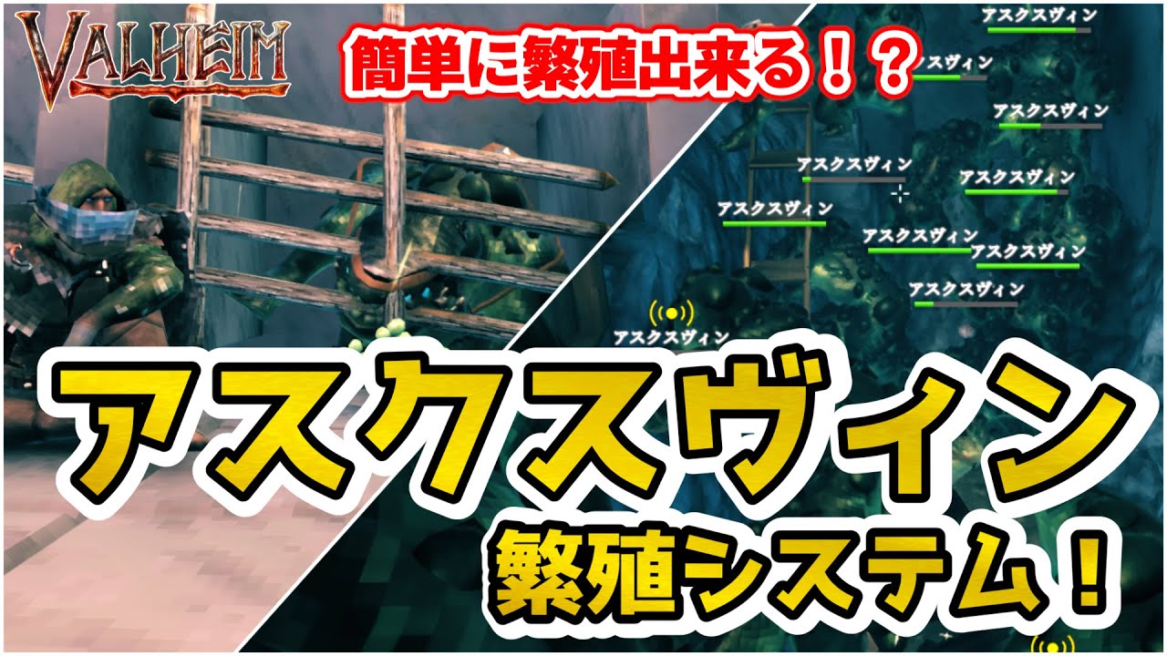 【Valheim】箱で簡単に繁殖させる！アスクスヴィン繁殖システム！【ヴァルヘイム】【アッシュランド】【灰の地】（  Ashlands asksvin Tame + Breed Guide）