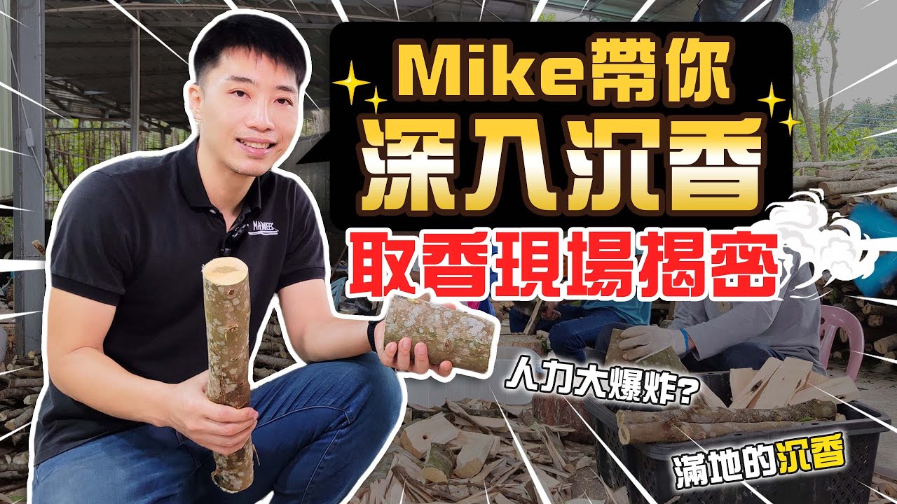 【原木香】棋楠沉香超機密!!業界不傳的機密大公開!! #台灣第一人帶你深入現場
