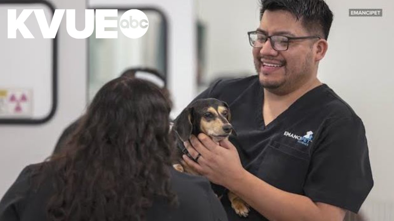 Pet dental health tied to major diseases