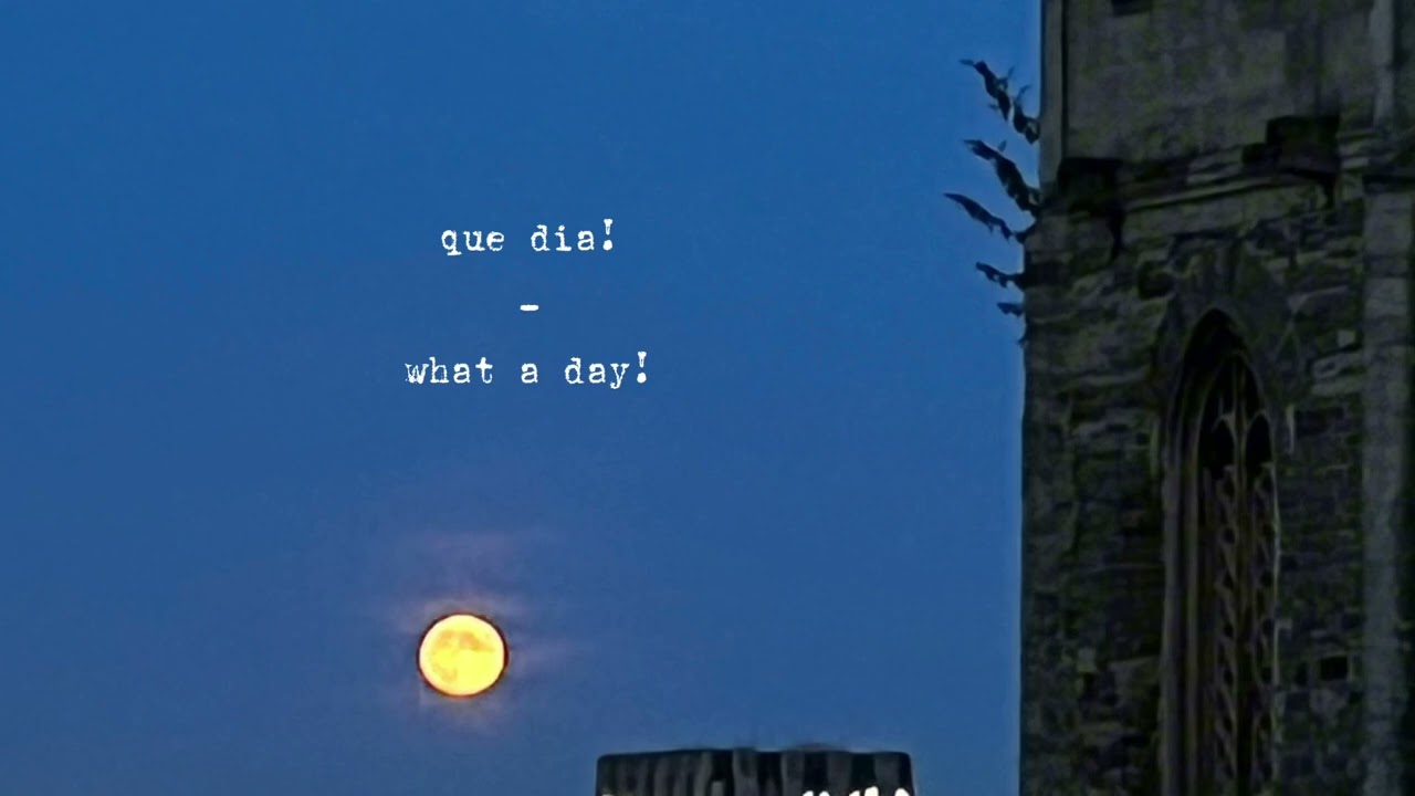 Umas e Outras &ndash; Chico Buarque (English sub)