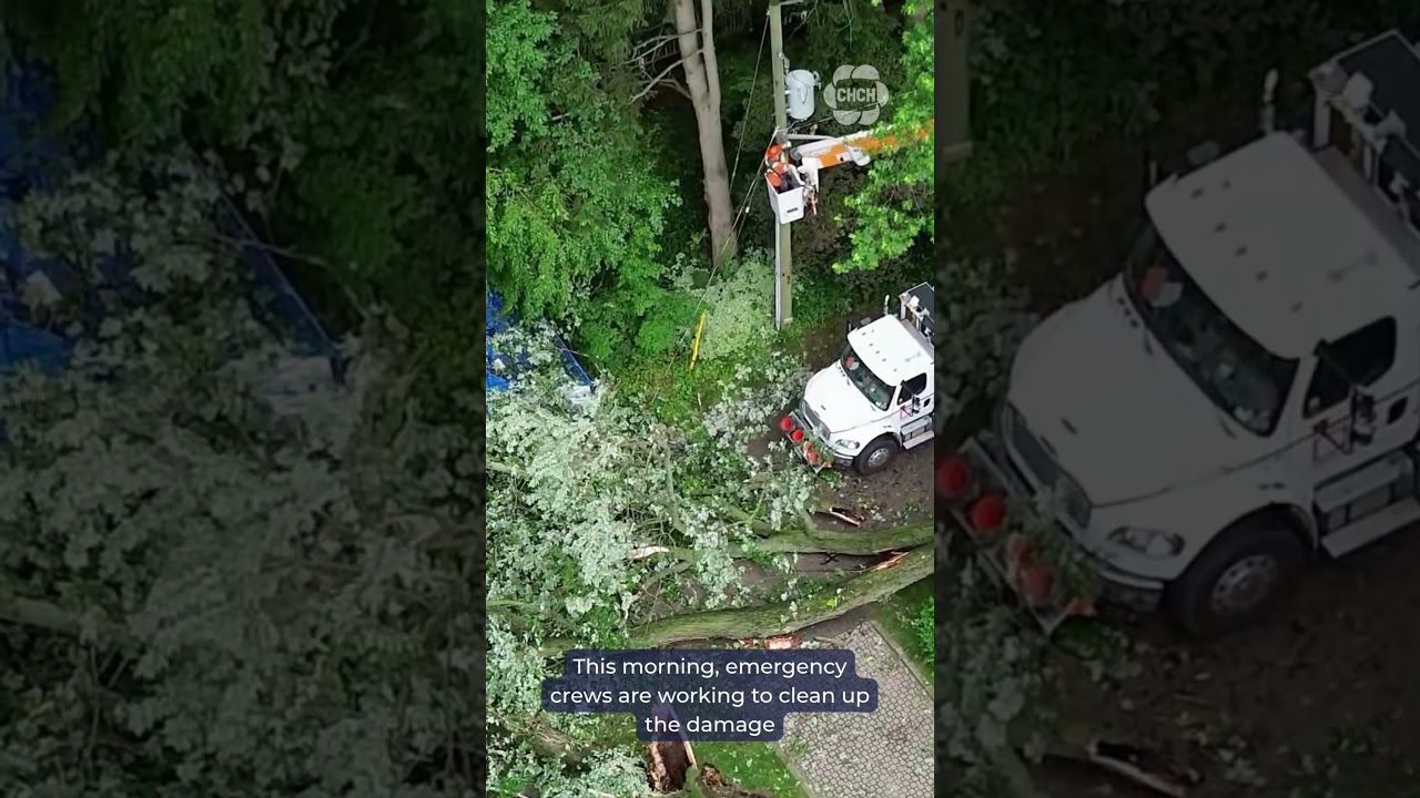 В южной части Онтарио приступили к ликвидации последствий сильного шторма