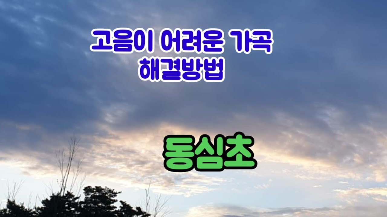 고음이 어려운 가곡 해결방법   동심초