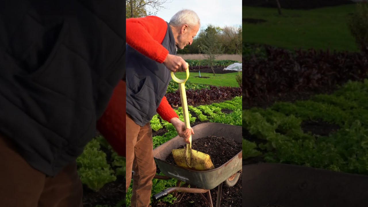 Compost on beds, wood chip on paths once a year