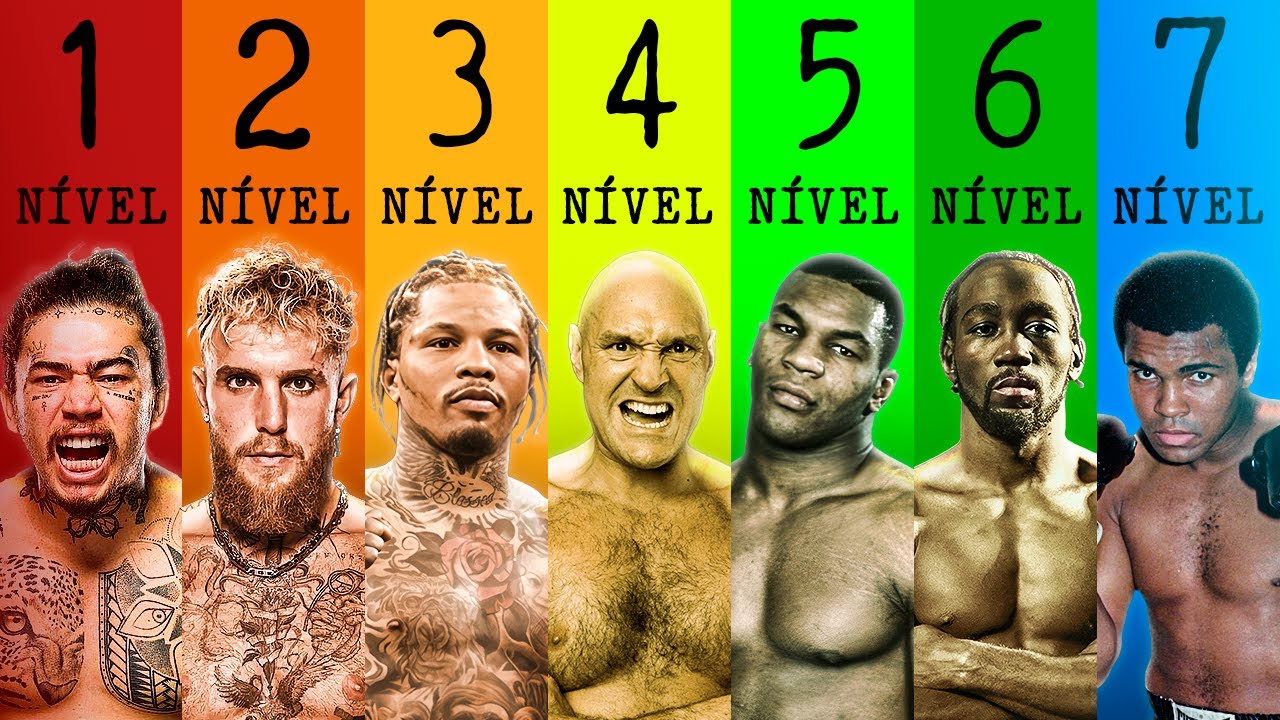 Os 7 n&iacute;veis de boxeadores