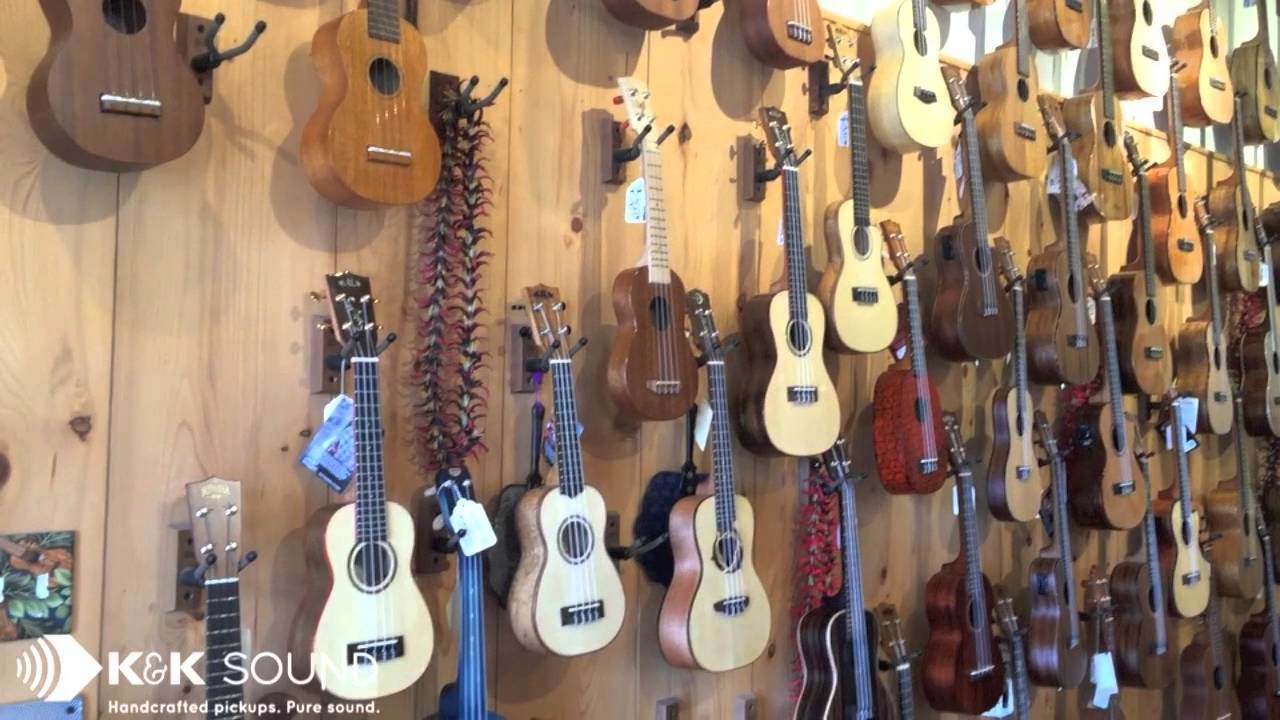 Visit to The Ukulele Site