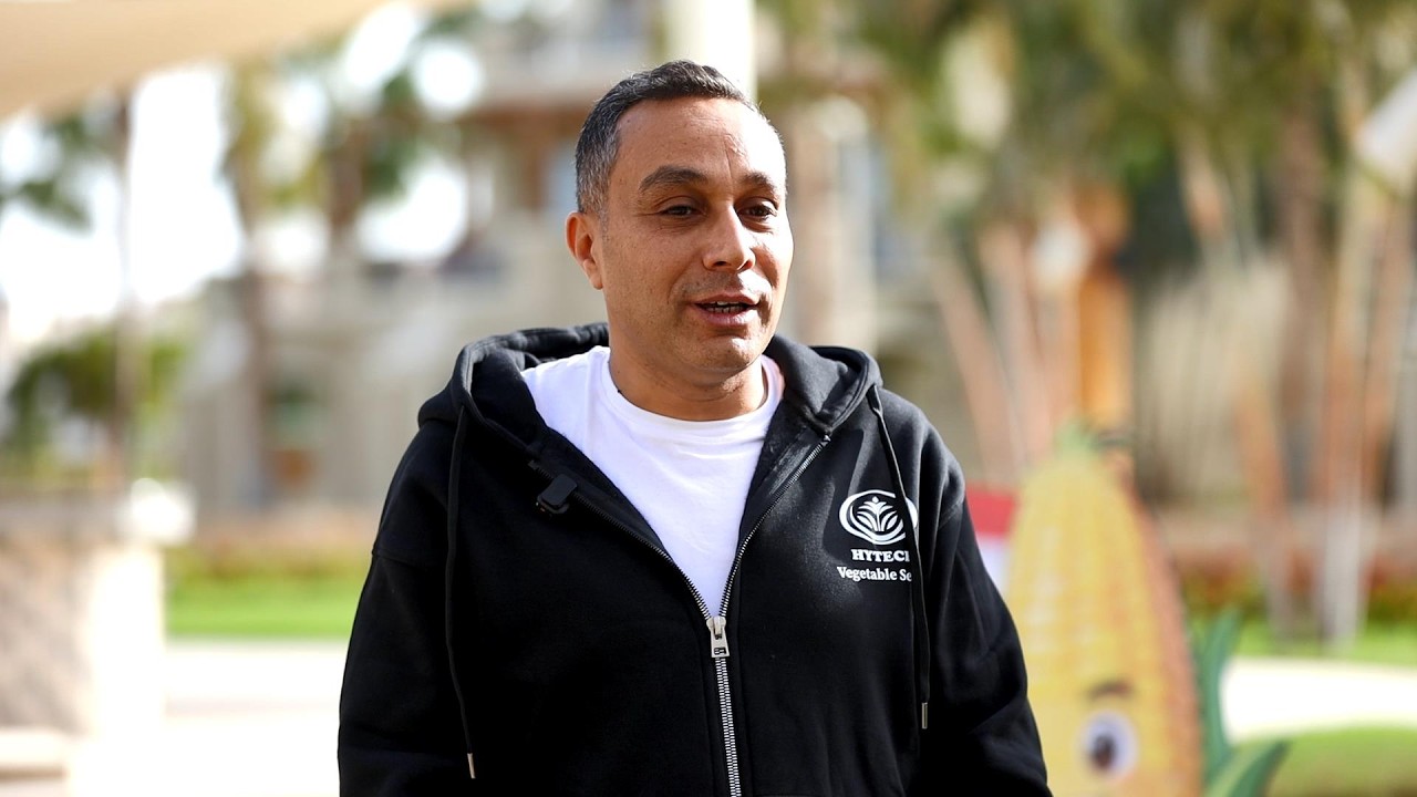 مصر هاى تك الدولية للبذور  بدأت  فى تربية هجن الذرة الحلوة السكرية فى 2011 ، ليتم  أول الهجن تجارياً