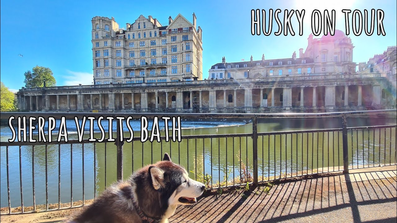When your Husky goes on Tour, Sherpa visits Bath