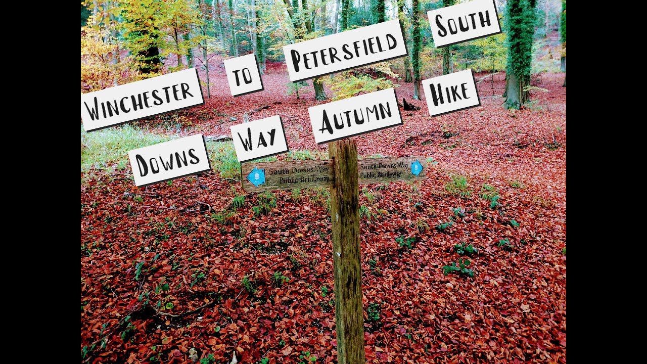 Hiking the South Downs Way in Fall Colors | Winchester to Petersfield Adventure - Part 1