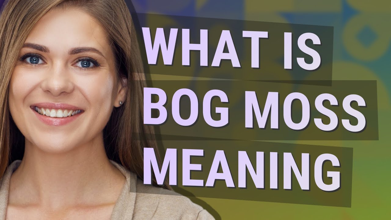 Bog moss | meaning of Bog moss