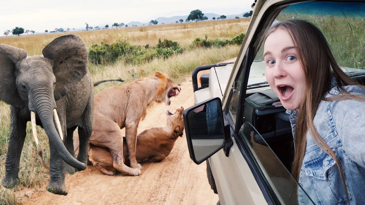 MY FIRST EVER AFRICAN SAFARI!! Lions MATING in Mikumi, Tanzania 😱