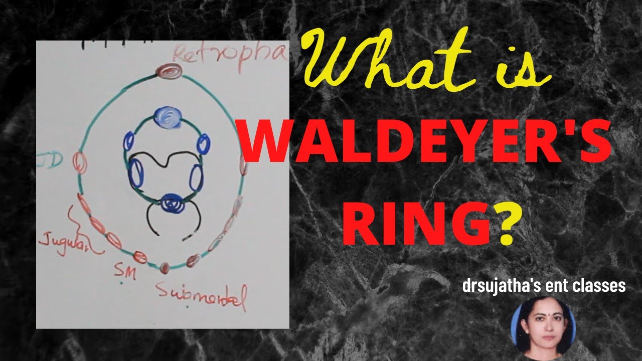 169.Waldeyer's Ring #anatomy waldeyer's ring #shortnotes in medicine #tonsillitis #lymphsystem