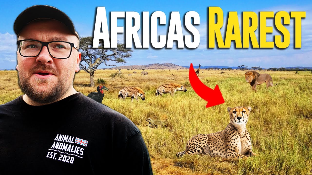 Searching For Africa's Rarest Animals | Part 1