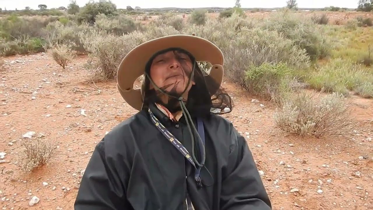 Oz Ton Or Australie, Nouvelle saison le 16 F&eacute;vrier #gold #or #metaldetecting