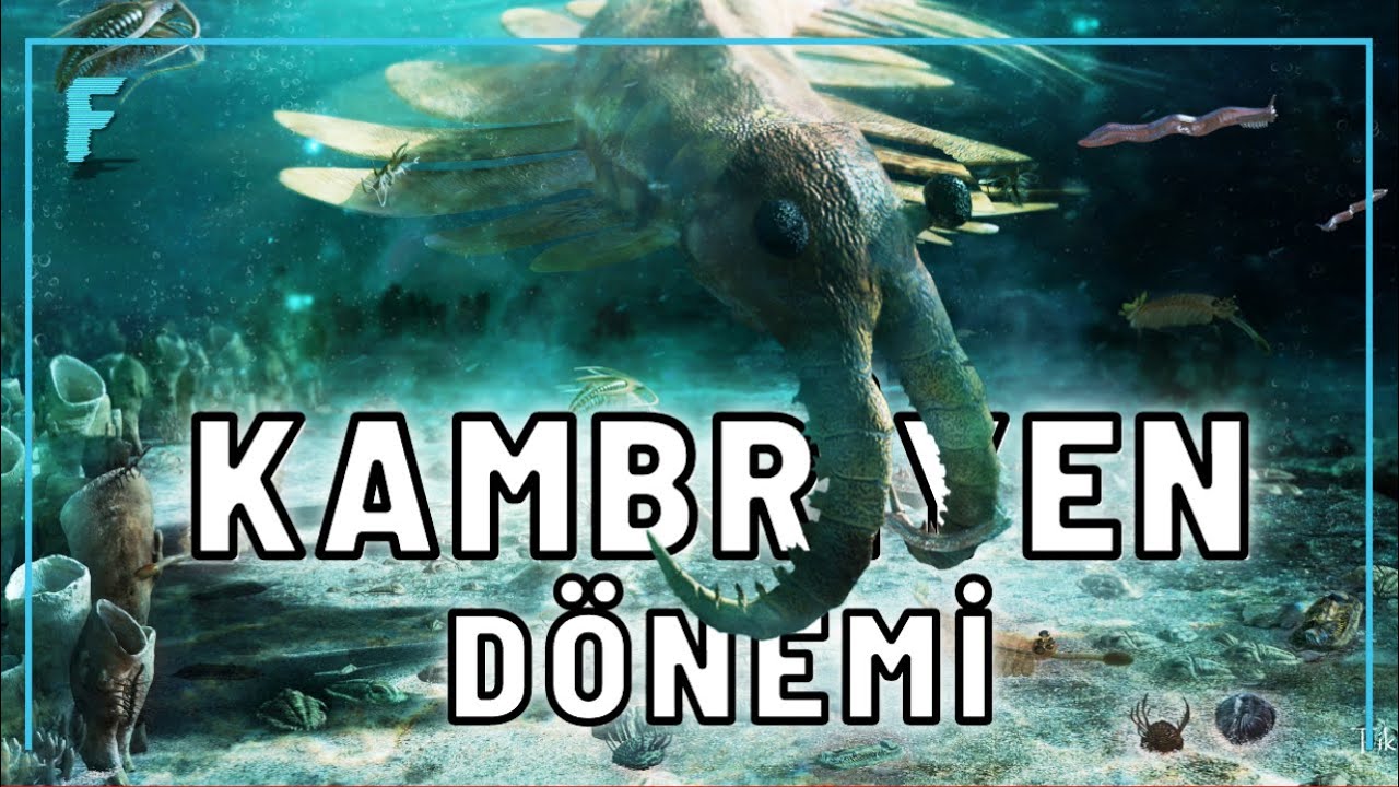 Garip Canlıların D&uuml;nyayı İstila Ettiği D&ouml;nem: Kambriyen D&ouml;nemi