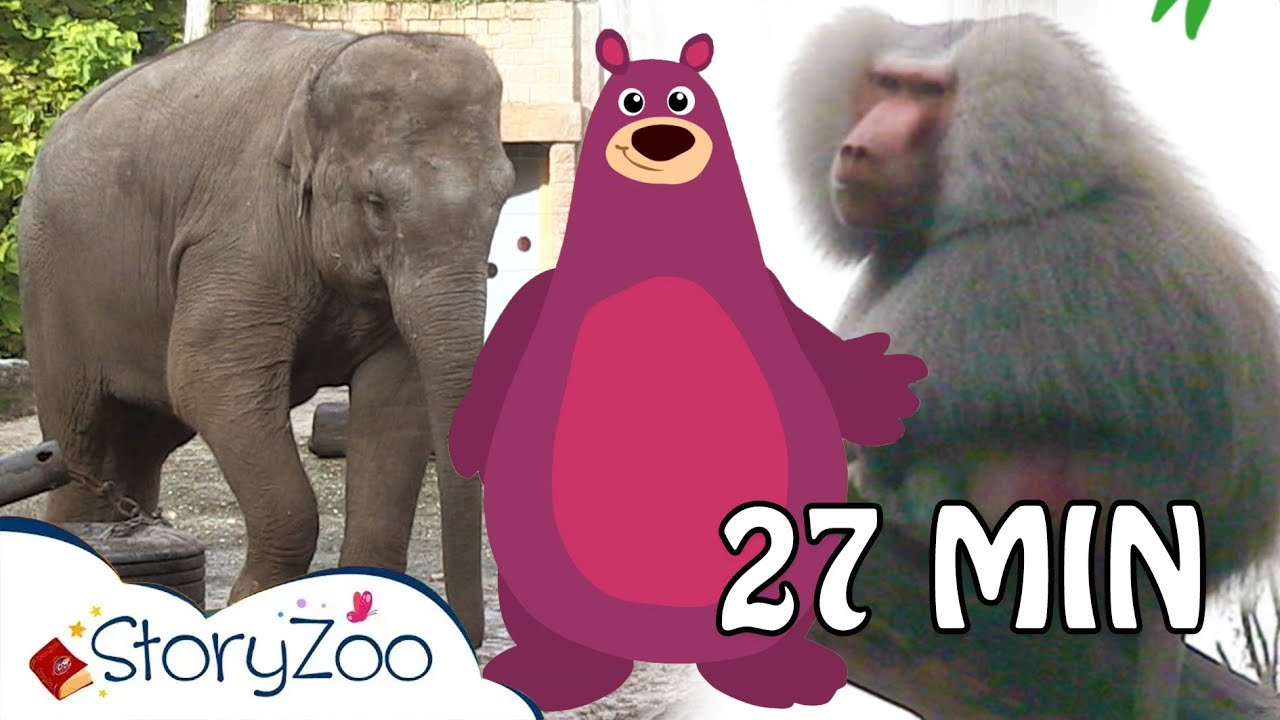 StoryZoo op avontuur in de Dierentuin 🦁 | Compilatie 🙉 | Educatieve video's voor kinderen