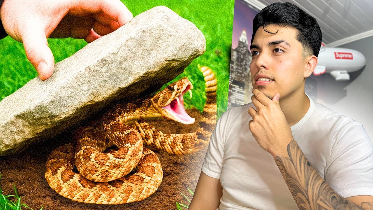 Volteó 100 Rocas en la Selva, Esto fue lo que Encontró #2