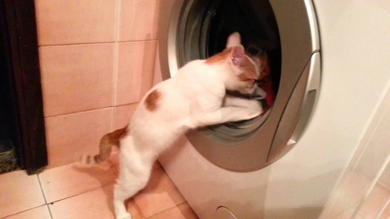 Perem ve&scaron; na ruke (noge)