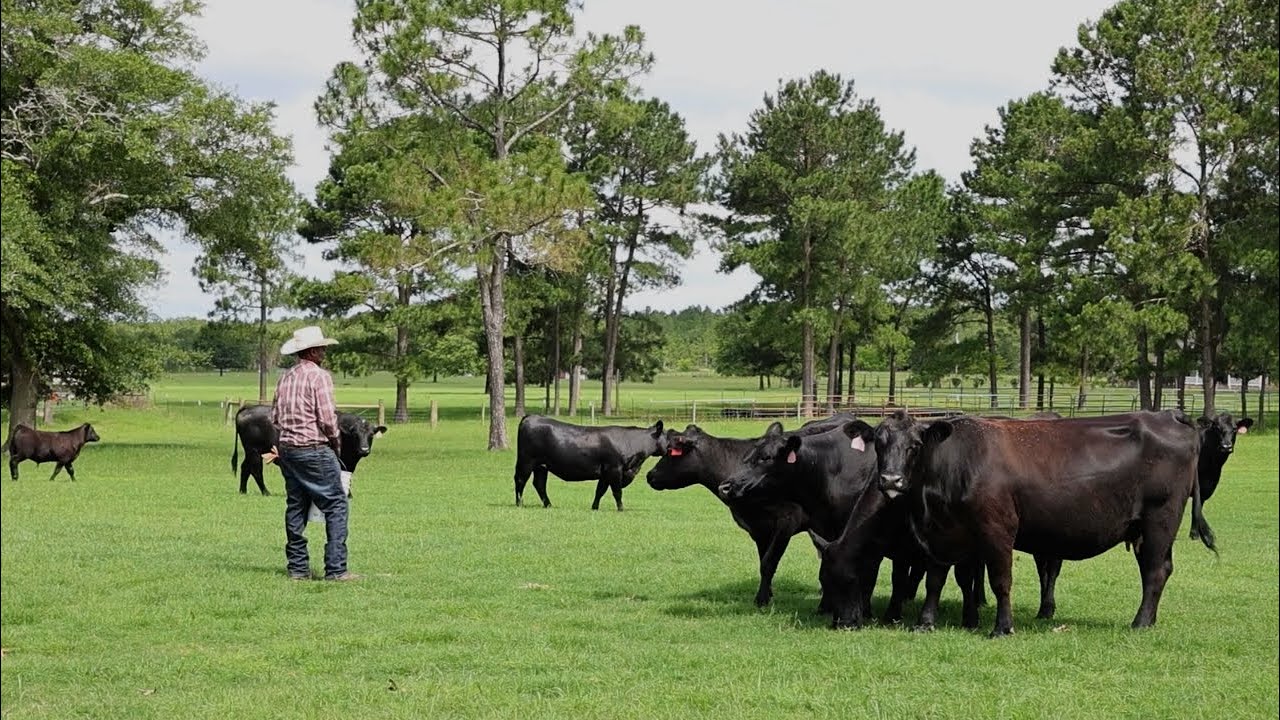 Practical Tips for Beginning Farmers: Build Strong Networks