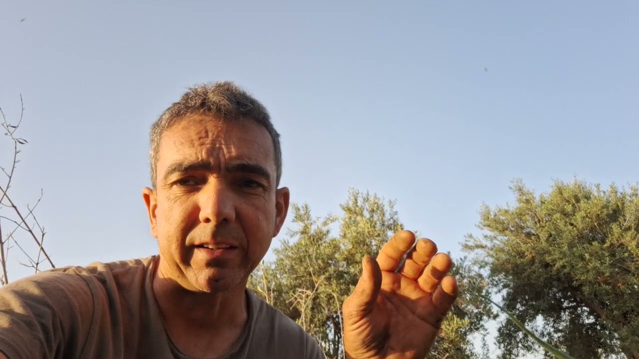 10 meses de cárcel...