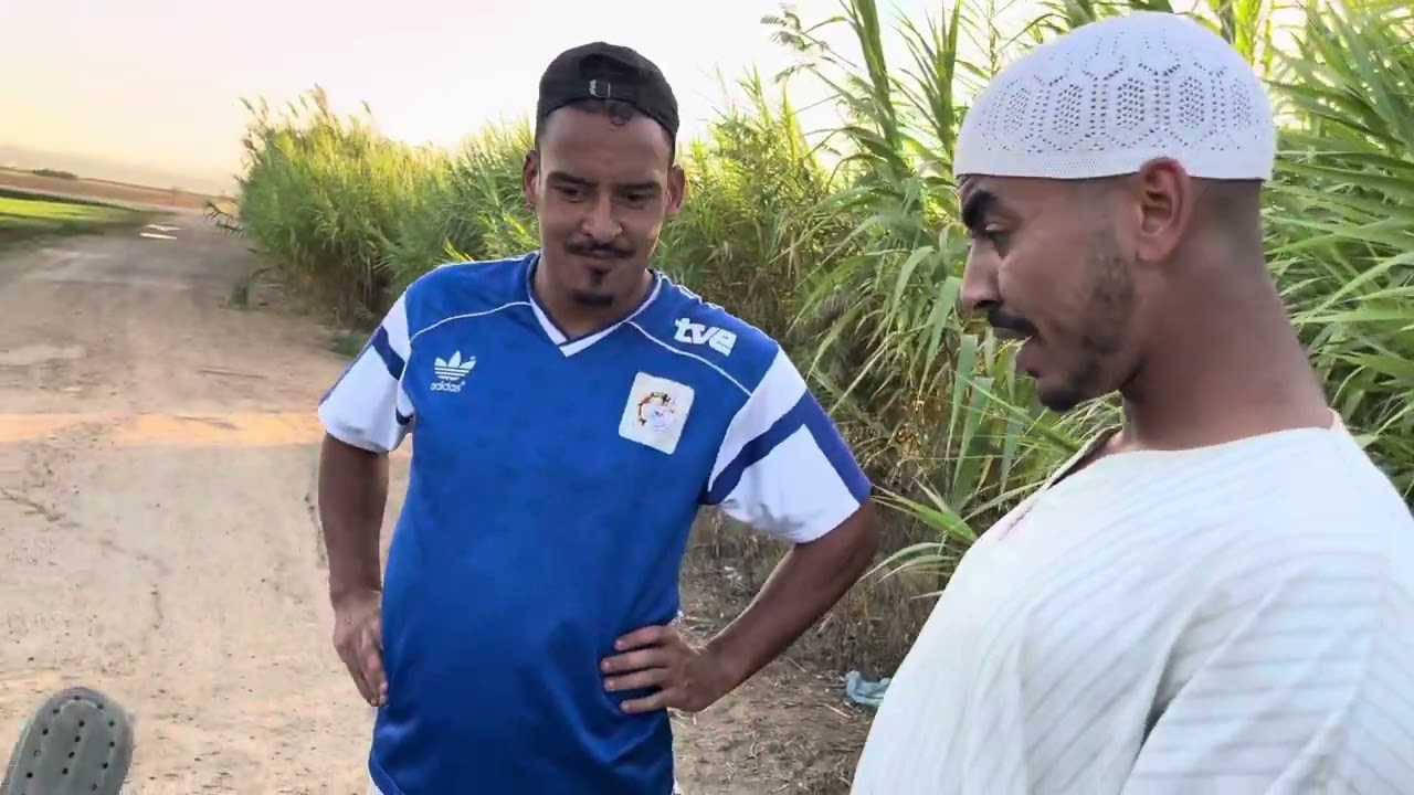 الخطاف بجيطا  😂