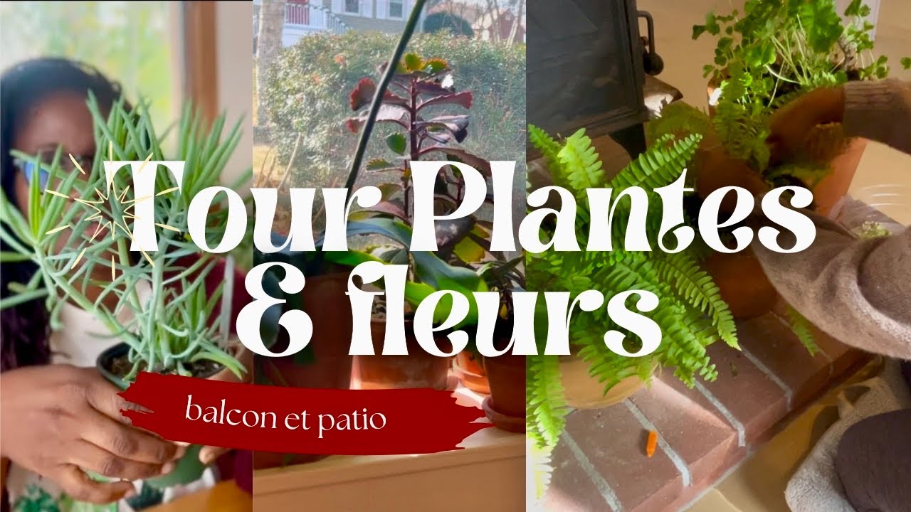 Tour Plantes & Fleurs pour le balcon & le patio | Préparons le Printemps 🪴