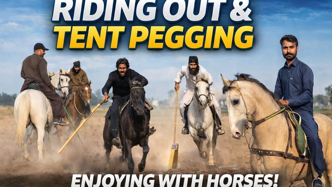 Horse riding Adventure! Tentpegging (naza bazi)Aj ground ma naza bazi ki or ghoron pr ride ki🐎
