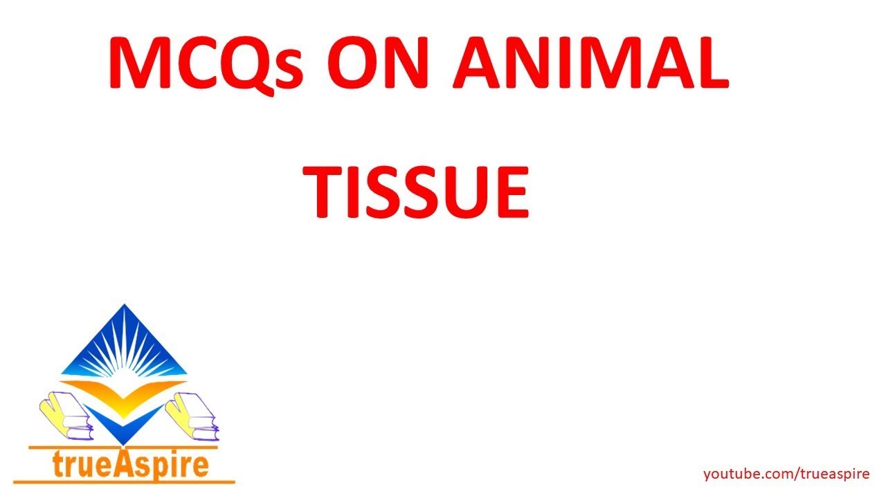 MCQs On Animal Tissue