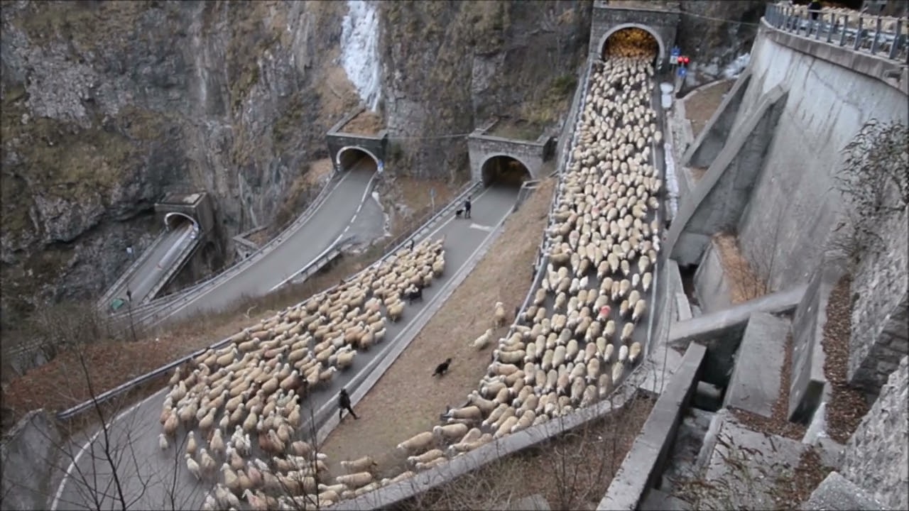 2026 Pastore Baldessari Renato - Diga, Passo San Boldo
