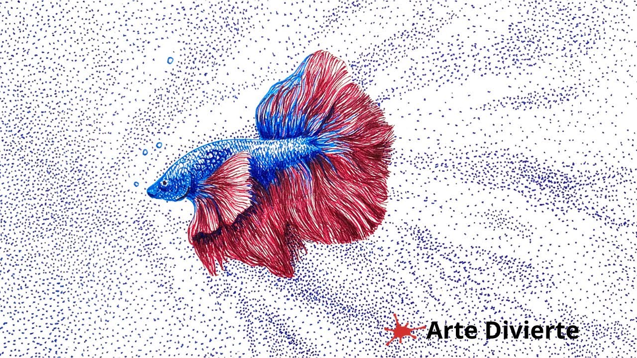 DIBUJANDO UN PEZ BETA CON PLUMA FUENTE - Timelapse