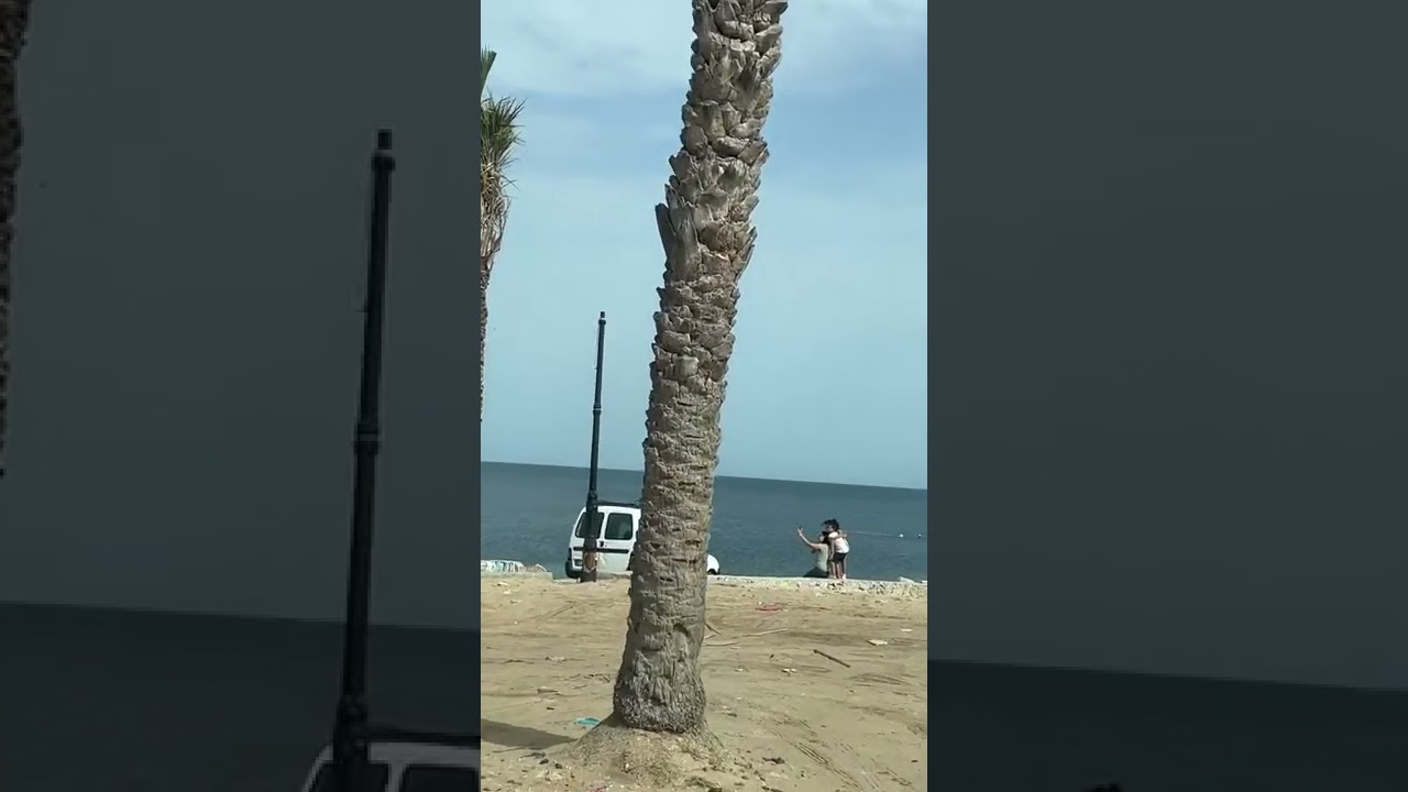 جولة في المنستير الاتجاه الى سقانص شاطئ النخيل