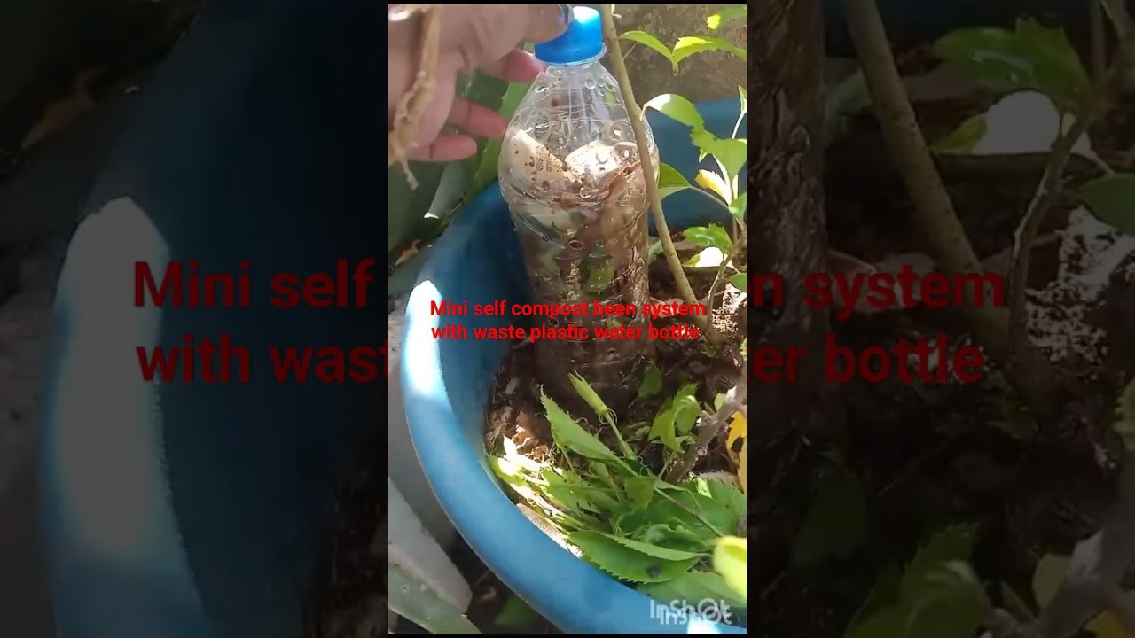 mini self compost been system with waste plastic water bottle