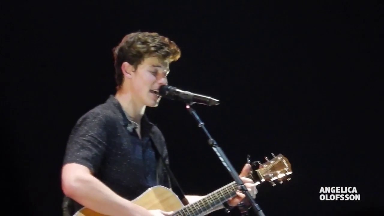 Shawn Mendes - Understand // Sweden